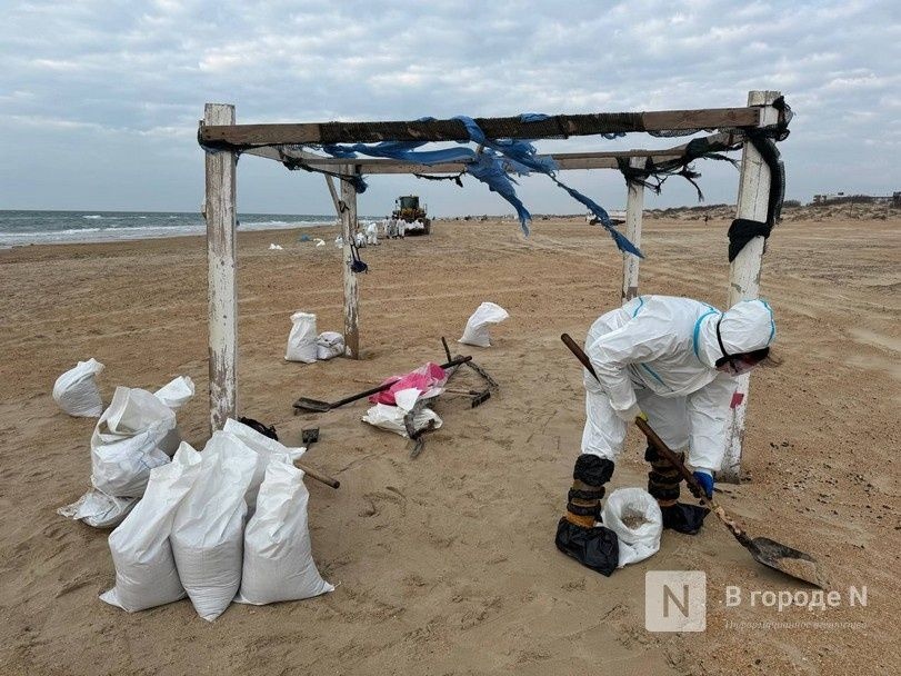 ВТБ направит 25 млн рублей на устранение последствий разлива мазута в Керченском проливе - фото 1