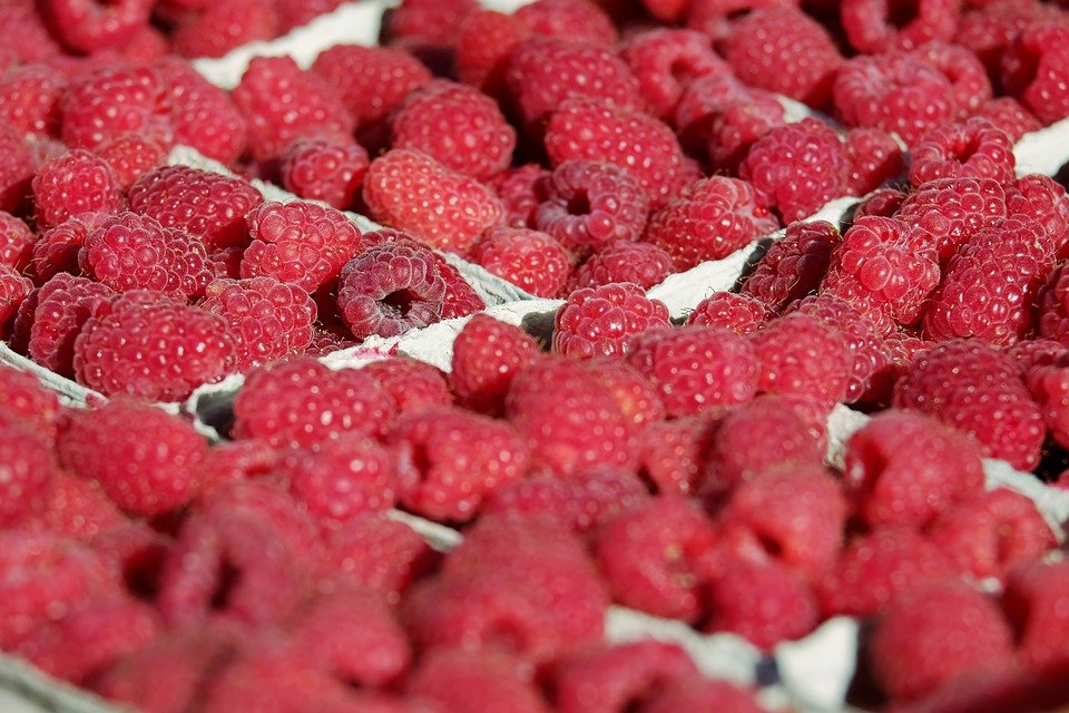 Малина, ежевика, смородина: как правильно выбирать и хранить любимые летние ягоды - фото 3