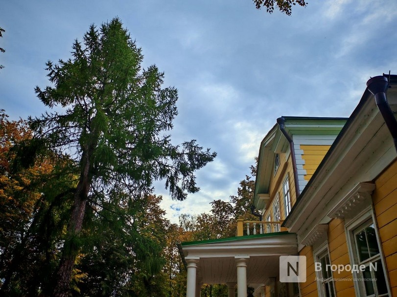 Та самая пушкинская осень: уютный фоторепортаж из Большого Болдина - фото 6