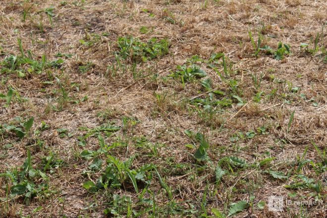 Теннисные столы и велодорожка появились на улице Веденяпина в Нижнем Новгороде - фото 47