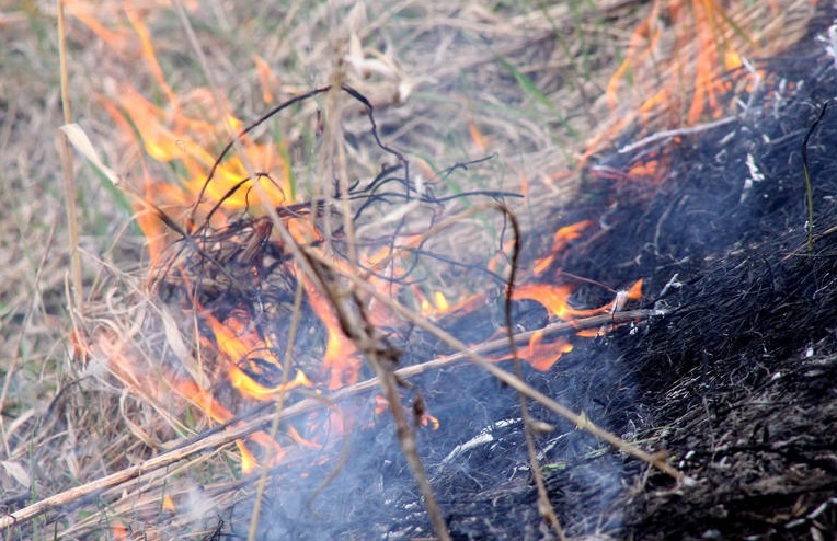 Пожароопасный сезон начнется в нижегородских лесах с 7 апреля