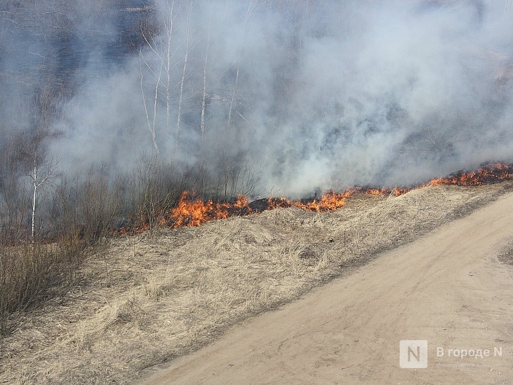 Высокая пожароопасность лесов сохранится в Нижегородской области до 3 июля - фото 1
