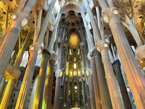 Морские гады, руины и потрясающий климат: вся правда о путешествии Барселона &mdash; Рим - фото 52