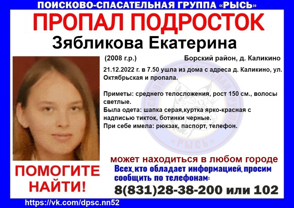 14-летнюю девочку ищут в Нижегородской области - фото 1