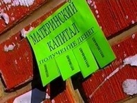Жительницу Нижегородской области обязали вернуть материнский капитал в сумме 370 тыс. рублей
