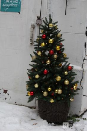 Матрешки, кони и сотни огней: карта самых атмосферных новогодних локаций &mdash; 2026 в Нижнем Новгороде - фото 114