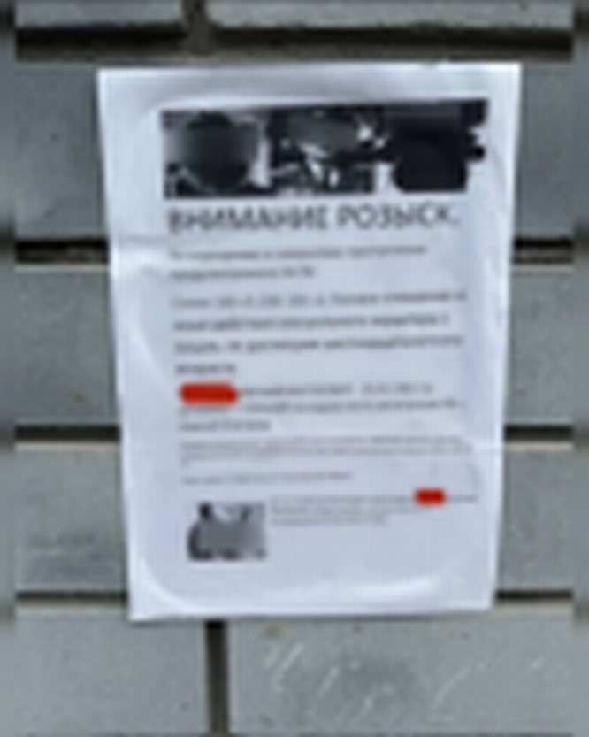 Соцсети: ориентировки с неприличными изображениями расклеили по Нижнему Новгороду - фото 1