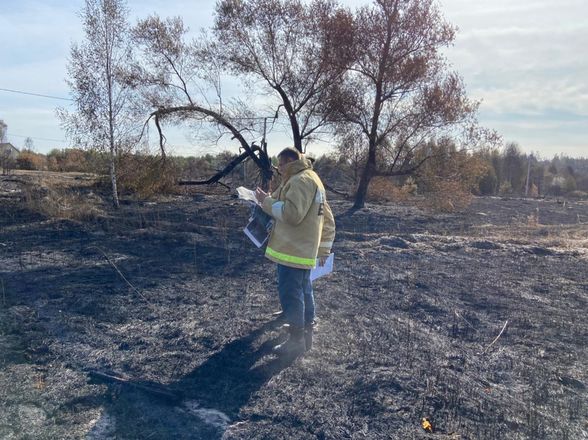 Причины перехода огня на поселок Стеклянный изучают сотрудники нижегородского Госпожнадзора - фото 5