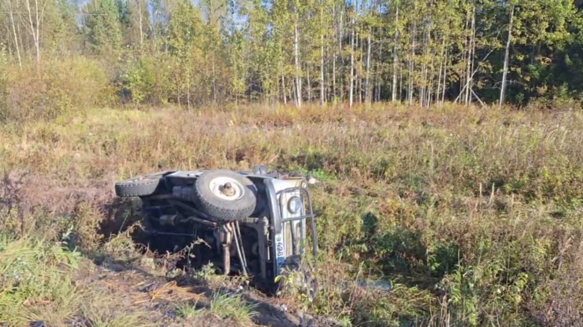 Два человека попали в больницу после ДТП в Уренском округе - фото 1