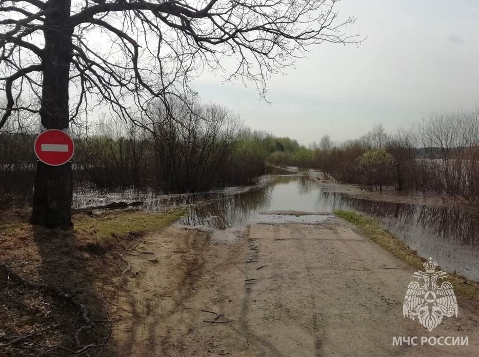 Река затопила дорогу в Воскресенском округе - фото 1
