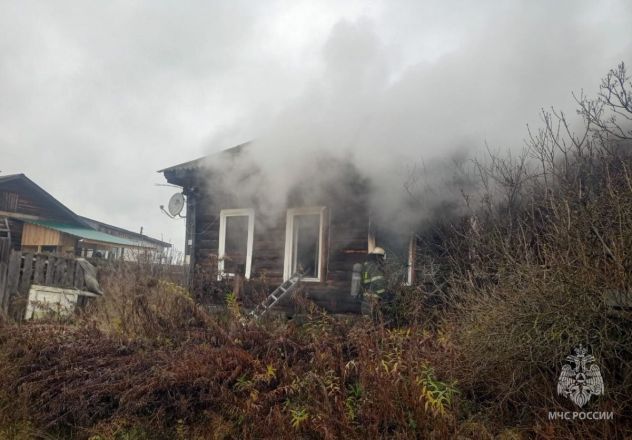 Мужчина погиб на крупном пожаре в частном доме в Нижегородской области - фото 3