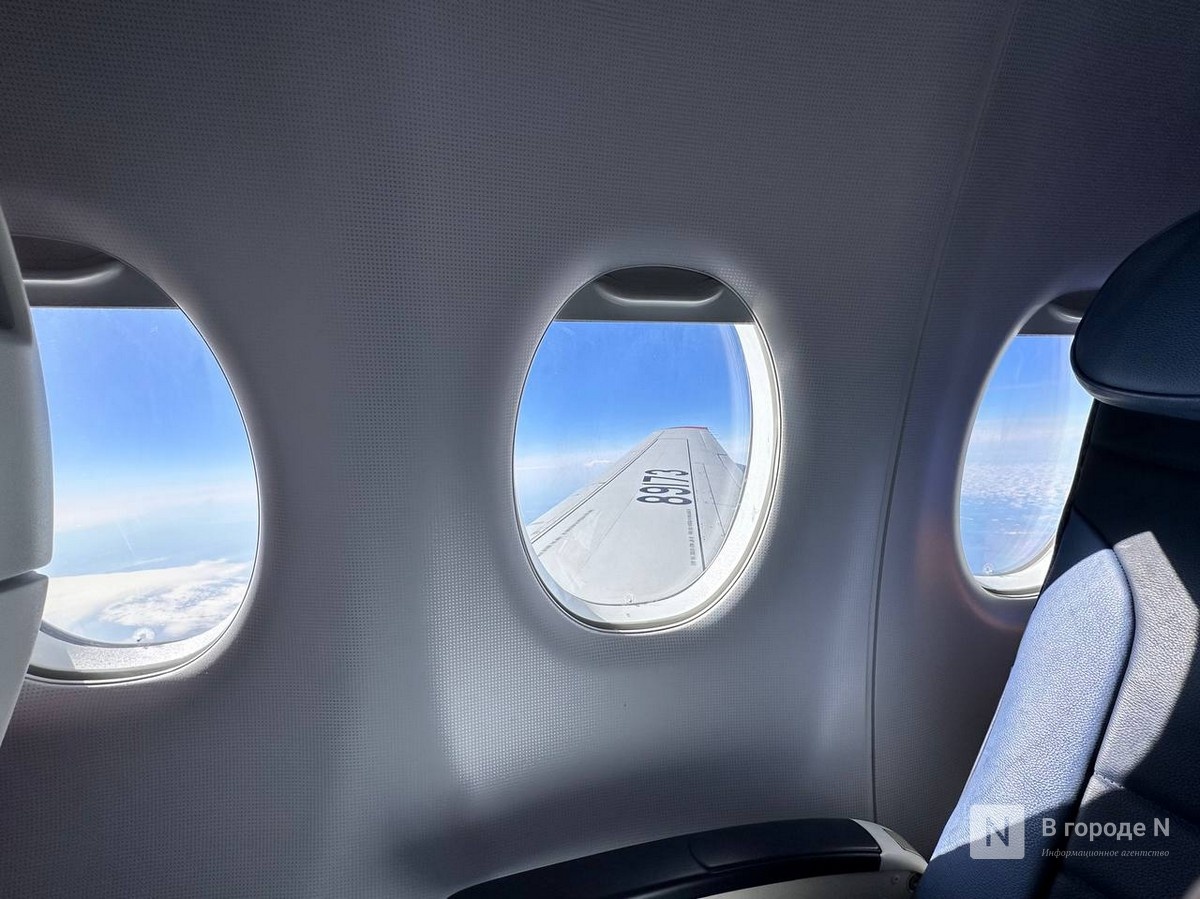 Уголовное дело грозит нижегородцу за дебош с ножом в самолете - фото 1