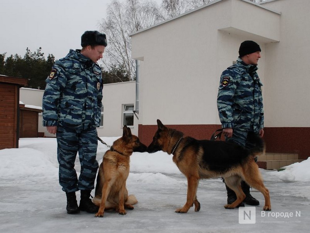 12 тонн наркотиков обнаружили служебные собаки на Приволжской таможне - фото 1