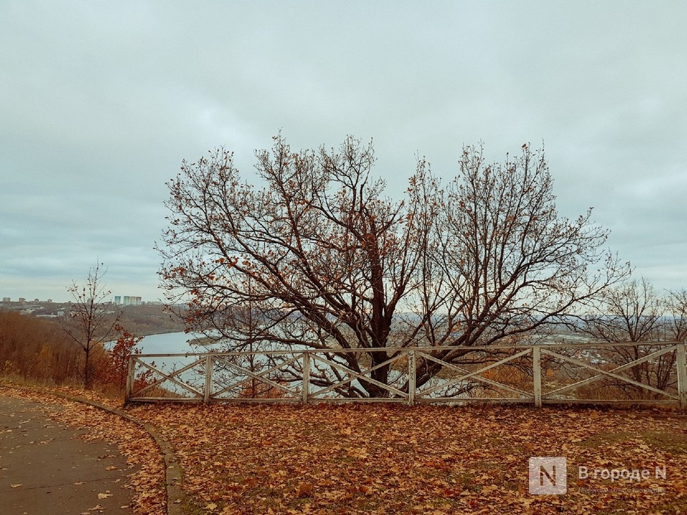 Резкое похолодание придет в Нижний Новгород после бабьего лета - фото 1
