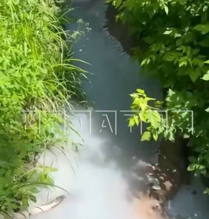 Нижегородцы бьют тревогу из-за загрязнения реки в Кстовском районе - фото 1